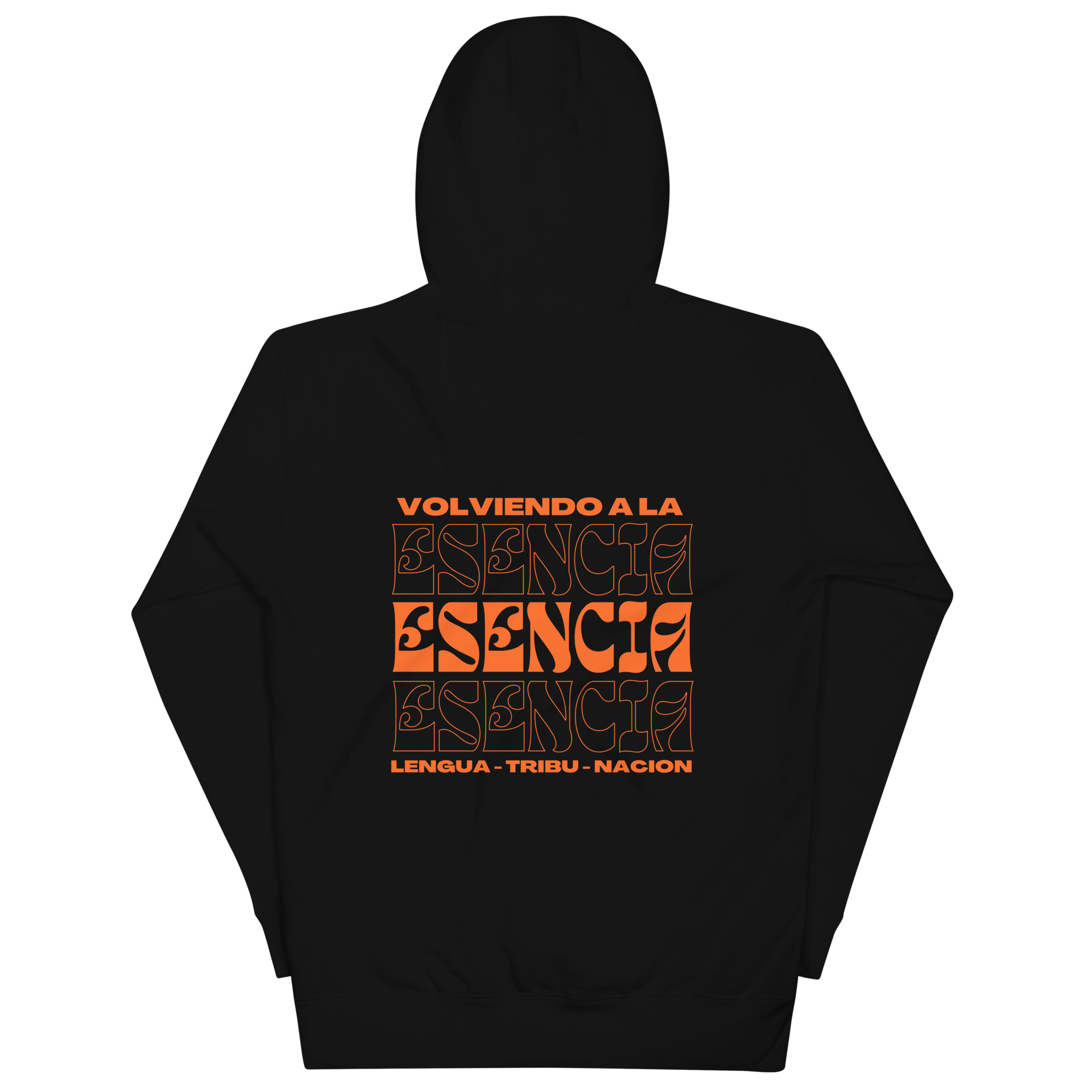 unisex-premium-hoodie-black-back-631f59b29306d.jpg